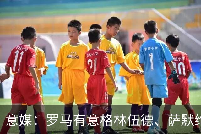 意媒：罗马有意格林伍德、萨默维尔，追逐后者面临巴黎曼联竞争