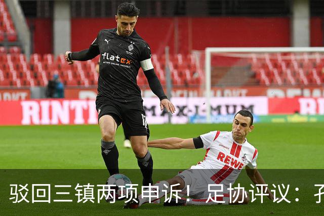 驳回三镇两项申诉！足协评议：孔特手球因意外折射，不判点球正确